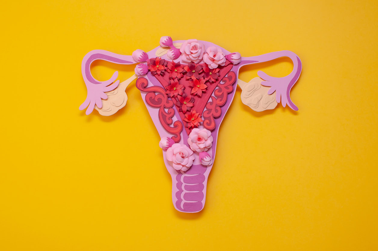 Visual representation of uterus